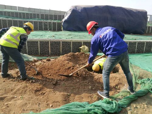 陜煤建設(shè)綠宇園林公司:激活“神經(jīng)末梢” 打響“五小”創(chuàng)新戰(zhàn)