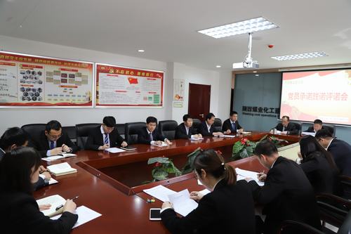 陜煤建設(shè)洗選煤分公司機(jī)關(guān)黨支部召開黨員承諾踐諾評諾專題會