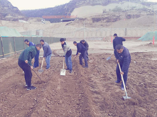 陜煤建設(shè)天工公司土建三部不負(fù)時(shí)光“務(wù)農(nóng)” 豐富員工餐桌